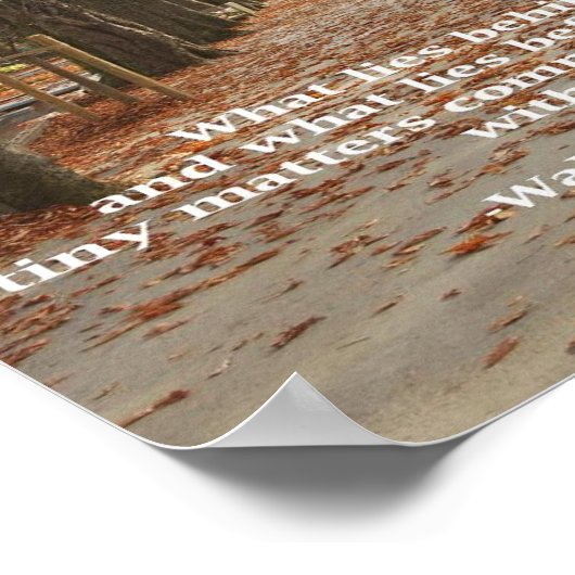 「我々の中に何が存在するか」 ポスター (角)