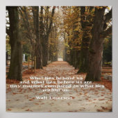 「我々の中に何が存在するか」 ポスター (正面)