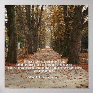 「我々の中に何が存在するか」 ポスター