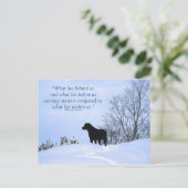 我々の中に存在するもの – やる気を起こさせる引用文 – ブラック・ラボ ポストカード (スタンド正面)