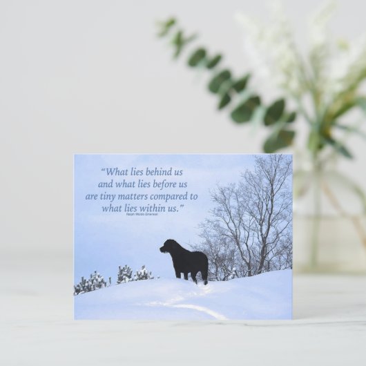 我々の中に存在するもの – やる気を起こさせる引用文 – ブラック・ラボ ポストカード (スタンド正面)