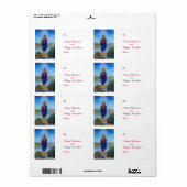 我々の光の女性マドンナ無垢な概念 ラベル (フルシート)