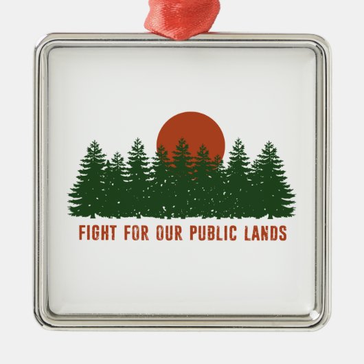 我々の公の地のために戦う メタルオーナメント (正面)