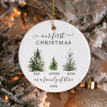 我々の初めてのクリスマスは3人の家族として オーナメント<br><div class="desc">この素敵な記念初めてのクリスマスと一緒にあなたのオーナメントを思い出しなさい。このデザインは3つのクリスマスツリーの家族を備えている。子供の名前と年を簡単に編集！新しい親の素晴らし贈り物にもなる！</div>