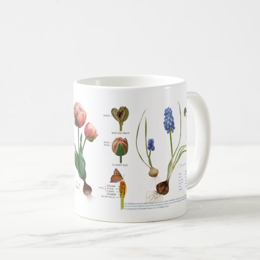 我々の多年生庭から。 コーヒーマグカップ (正面右)