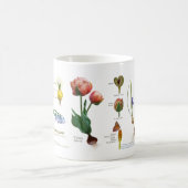 我々の多年生庭から。 コーヒーマグカップ (中央)