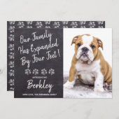 我々の家族によって拡張4足新しいペットパピードッグ 案内状 (正面/裏面)