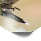 我々の家食べ物を与えの庭にあるハチドリの若者 フォトプリント (角)