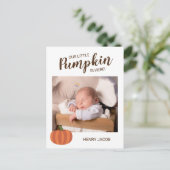 我々の小さなカボチャはここにいる秋誕生の発表 ポストカード (スタンド正面)