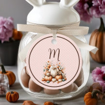 我々の小さなカボチャ