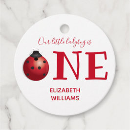 我々の小さなラディバグワン最初の誕生祝い フェイバータグ