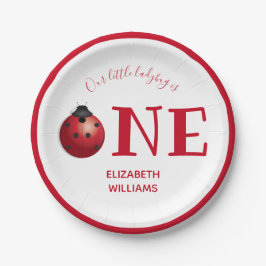 我々の小さなレディバグ1の最初の誕生日パーティー ペーパープレート