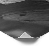 我々の恋しく思自由 ポスター (角)