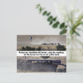 我々の救野生の馬のキャンペーン ポストカード (スタンド正面)