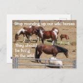 我々の救野生の馬のキャンペーン ポストカード (正面/裏面)
