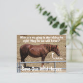 我々の救野生の馬のキャンペーン ポストカード (スタンド正面)