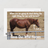 我々の救野生の馬のキャンペーン ポストカード (正面/裏面)