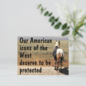 我々の救野生の馬のキャンペーン ポストカード (スタンド正面)