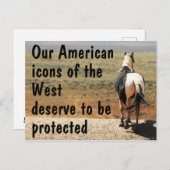 我々の救野生の馬のキャンペーン ポストカード (正面/裏面)