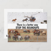 我々の救野生の馬のキャンペーン ポストカード (正面/裏面)