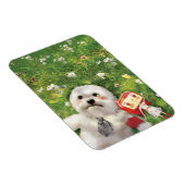 我々の時代 マグネット (右側)