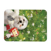 我々の時代 マグネット (横)