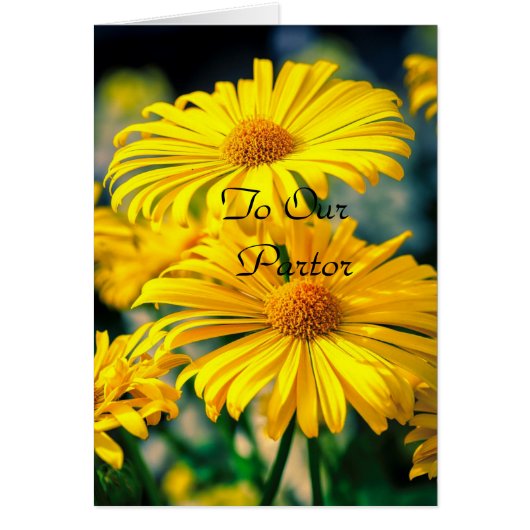 我々の牧師「レディ」に (正面)