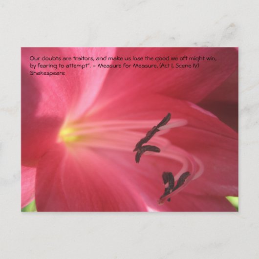 我々の疑いは裏切り者であり我々を… ポストカード (正面)