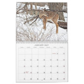 我々の美しい世界#7 カレンダー (1月 2027)