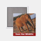 我々の野生救の大きな赤 マグネット (正面/裏面)