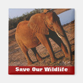 我々の野生救の大きな赤 マグネット (正面)