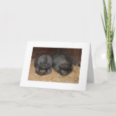 我々はその最高の組合を作る カード (正面)