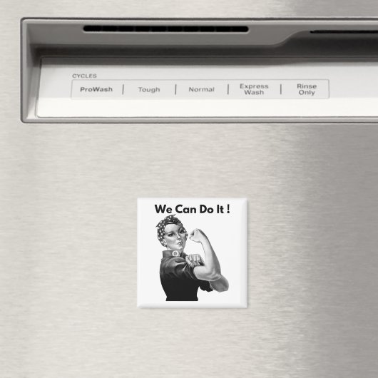 我々はそれを行うことができるリベッターをロージー マグネット (インサイチュ (食洗機))