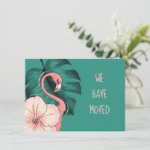 我々はフロリダフラミンゴモンステラ葉を移動した 案内状 (スタンド正面)