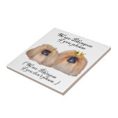 我々はペキン人だ タイル (側面)