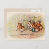 我々はモルモットの小さな庭を持っている ポストカード (正面/裏面)