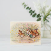 我々はモルモットの小さな庭を持っている ポストカード (スタンド正面)