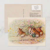 我々はモルモットの小さな庭を持っている ポストカード (正面/裏面)