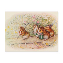 我々はモルモットの小さな庭を持っている