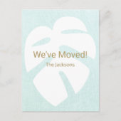 我々はモンステラ熱帯葉を移動した ポストカード (正面)