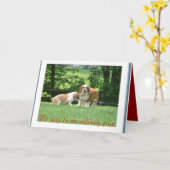 我々は万一の対になるかもしれない カード (黄色い花)