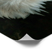 我々は信頼している ポスター (角)