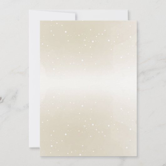 我々は双子の少年の赤ちゃんシャワーを待つことができる 招待状 (裏面)