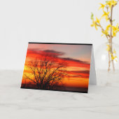 我々は同じ家系の誕生日 カード (黄色い花)