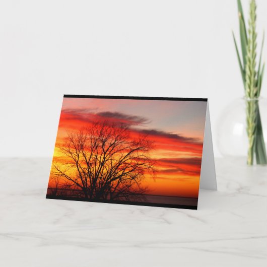 我々は同じ家系の誕生日 カード (正面)