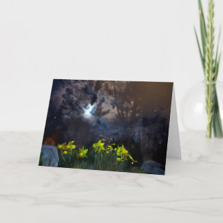 我々は夜を過ごす カード