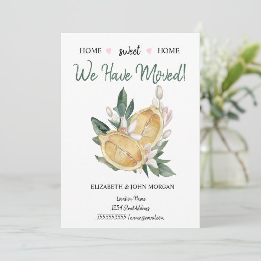 我々は引っ越してきた、レモンの水玉模様 (スタンド正面)