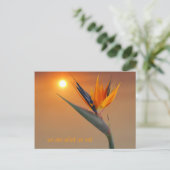 我々は我々と食べ同じだ ポストカード (スタンド正面)