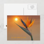 我々は我々と食べ同じだ ポストカード (正面/裏面)