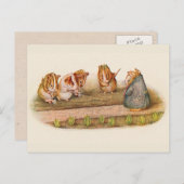 我々は我々の小さなガーデンギニア豚を愛する ポストカード (正面/裏面)